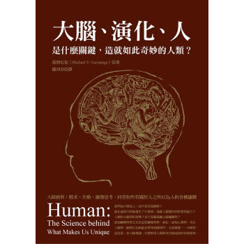 大腦、演化、人：是什麼關鍵，造就如此奇妙的人類？ pdf epub mobi 下载