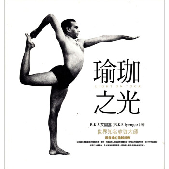 瑜珈之光 pdf epub mobi 电子书 下载