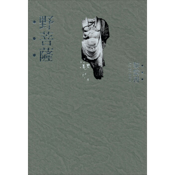 野菩薩 pdf epub mobi 电子书 下载