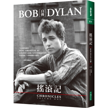 摇滚记 pdf epub mobi 下载