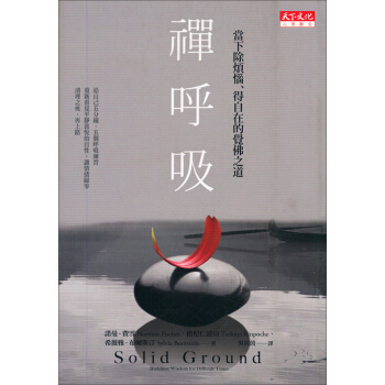 禪呼吸 [Solid Ground：Buddhist Wisdom for Difficult Times] pdf epub mobi 电子书 下载