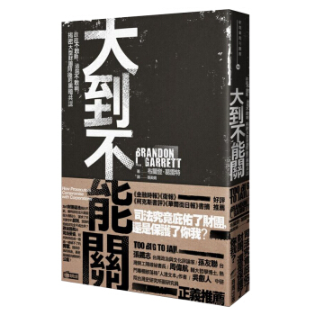 大到不能關: 政府不敢動、法院不敢判, 揭密大型財團背後的黑暗共謀 pdf epub mobi 電子書 下載