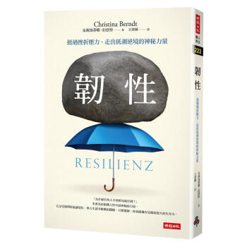 韌性: 挺過挫折壓力, 走出低潮逆境的神秘力量 pdf epub mobi 电子书 下载