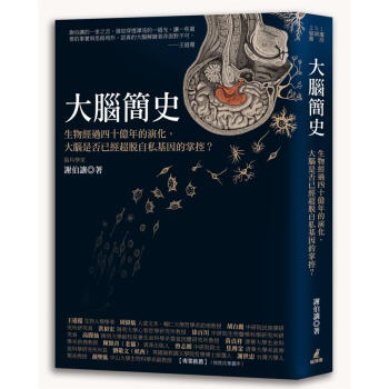 大腦簡史: 生物經過四十億年的演化, 大腦是否已經超脫自私基因的掌控? pdf epub mobi 电子书 下载