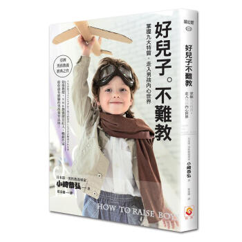 好兒子不難教: 掌握九大特質, 走入男孩內心世界 pdf epub mobi 电子书 下载