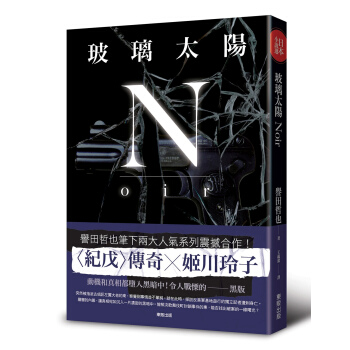 玻璃太陽Noir pdf epub mobi 电子书 下载
