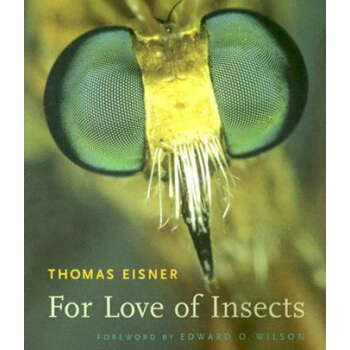 【中商原版】眷恋昆虫：写给爱虫或怕虫的人 英文原版 For Love of Insects pdf epub mobi 电子书 下载