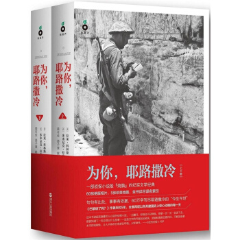 为你,耶路撒冷(套装上下册) 社会科学书籍 历史 文学书籍