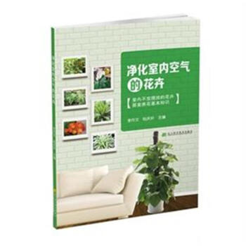 淨化室內空氣的花卉