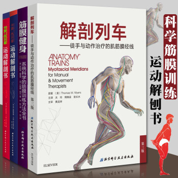 筋膜健身:係統科學的筋膜訓練方法全書+運動解剖書1+2+解剖列車簡體中文（共4冊）肌肉 pdf epub mobi 電子書 下載