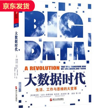 大数据时代（BIG DATA） pdf epub mobi 电子书 下载