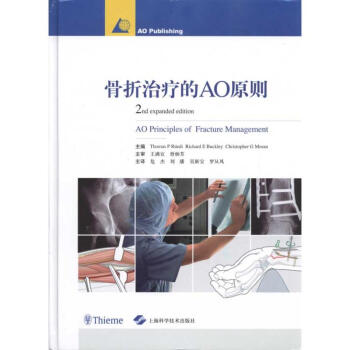 骨折治疗的AO原则 pdf epub mobi 电子书 下载