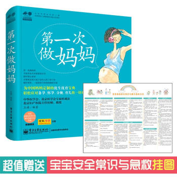 第一次做妈妈 pdf epub mobi 电子书 下载