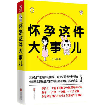 怀孕这件大事儿 pdf epub mobi 电子书 下载