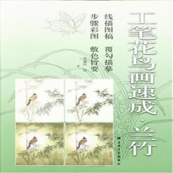 兰竹-工笔花鸟画速成 pdf epub mobi 电子书 下载