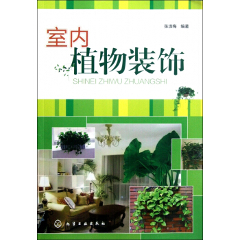 室内植物装饰 pdf epub mobi 电子书 下载