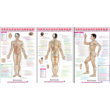 中医针灸手法与疗法标准挂图共3张正背侧三张中医穴位养生保健按摩经络刮痧拔罐祛百病医院学校偏 pdf epub mobi 电子书 下载