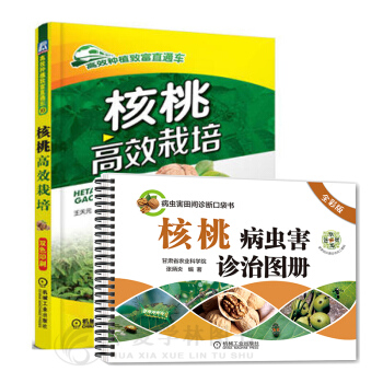核桃种植技术大全 核桃高效栽培+核桃病虫害诊治图册（全彩版） 果树种植 核桃种植书籍 pdf epub mobi 电子书 下载