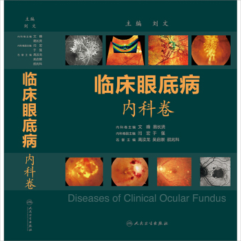 正版现货 临床眼底病.内科卷 文峰 易长贤主编 人民卫生出版社 pdf epub mobi 电子书 下载