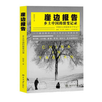 崖边报告 pdf epub mobi 电子书 下载