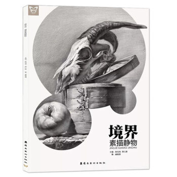 画中话 境界素描静物 唐智源著 外轮廓的穿插起伏虚实轻重 明暗交界线的轻重缓急跌宕起伏