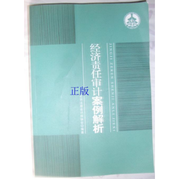 经济责任审计案例解析 pdf epub mobi 电子书 下载
