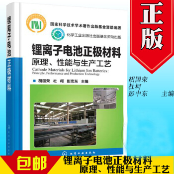鋰離子電池正極材料原理性能與生産工藝鋰離子電池正極材料生産技術專業書 pdf epub mobi 電子書 下載