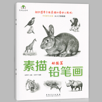 正版现货 素描铅笔画 动物篇 画马虎狮子兔猪等画法 手绘新生从入门到精通 美术爱好者零基础