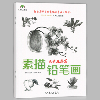 正版现货 素描铅笔画 花卉植物篇 画桃花月季百合等画法 手绘新生从入门到精通 美术爱好者