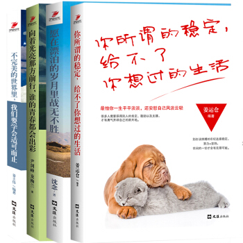 4册你所谓的稳定给不了你想过的生活不完美的世界里我们要学会适可而止向着光亮前行愿在漂泊的岁月战无不胜 pdf epub mobi 电子书 下载