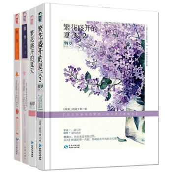 星星上的花1+2+繁花盛开的夏天1+2 共4册 星星上的花番外别册 书签 明信片 青春小说