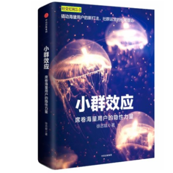 包邮 小群效应：席卷海量用户的隐性力量 经济营销*销书籍 新华书店正版*销书籍 pdf epub mobi 电子书 下载