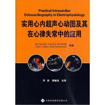 实用心内超声心动图及其在心律失常中的应用 pdf epub mobi 电子书 下载