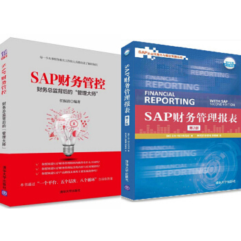 区域包邮SAP财务管控:财务总监背后的"管理大师"+SAP财务管理报表（第2版） 2本 pdf epub mobi 电子书 下载