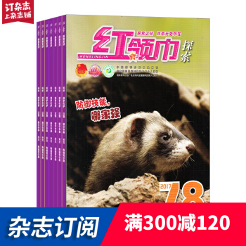 紅領巾探索版雜誌 2018年九月起訂閱 1年共12期 教育輔導期刊 少兒科普讀物 雜誌鋪每月快遞