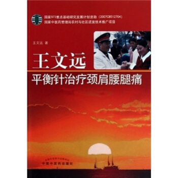 王文远平衡针治疗颈肩腰腿痛 (平装) pdf epub mobi 电子书 下载