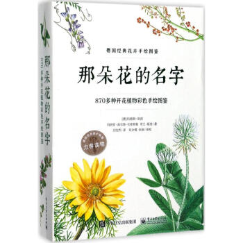 那朵花的名字
