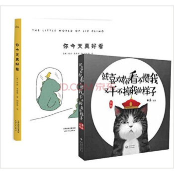 你今天真好看+就喜欢你看不惯我又干不掉我的样子 套装2册