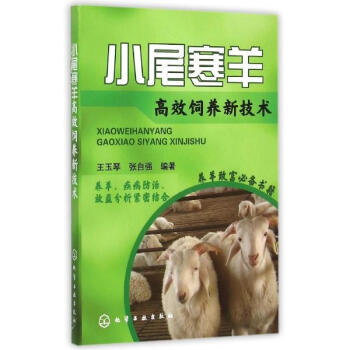小尾寒羊高效饲养新技术