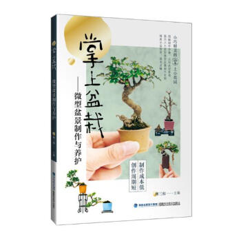 掌上盆栽:微型盆景製作與養護 傢居 書籍 pdf epub mobi 電子書 下載