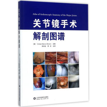 关节镜手术解剖图谱 pdf epub mobi 电子书 下载