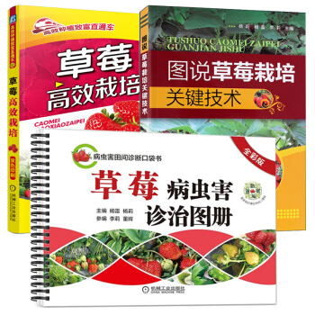 正版（全3册）草莓病虫害诊治图册（全彩版）+草莓高效栽培(高效种植致富直通车)+图说草莓 pdf epub mobi 电子书 下载