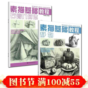 現貨 素描基礎教程(靜物+石膏幾何體) 素描靜物書 幾何形體素描書 素描技法入門教材 pdf epub mobi 電子書 下載