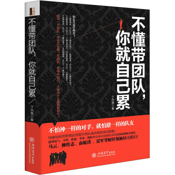 不懂帶團隊，你就自己纍 管理學團隊管理方麵書籍 管理書說話技巧 pdf epub mobi 電子書 下載