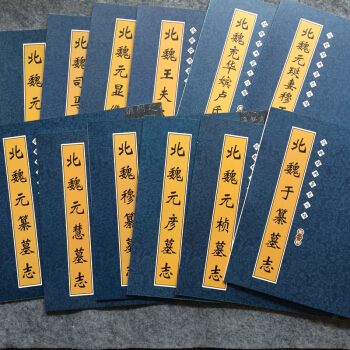 北魏经典墓志丛帖套装12册魏碑墓志铭集书法毛笔字帖墓志铭精选（12册） pdf epub mobi 电子书 下载