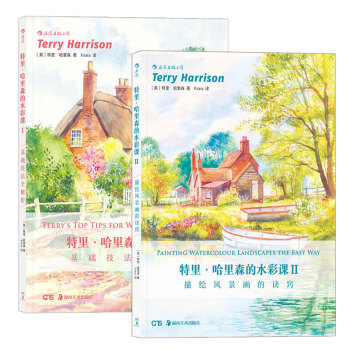 包邮 特里?哈里森的水彩课I:基础技法全解析 基础技法全解析 水彩画技法从入门到精通 pdf epub mobi 电子书 下载