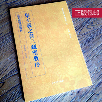 翁志飞实临解析 集王羲之书三藏圣教序 集王羲之书圣教序技法精讲 pdf epub mobi 电子书 下载