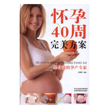 怀孕40周方案 pdf epub mobi 电子书 下载