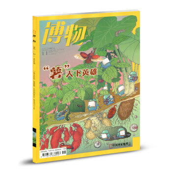 博物杂志2017年11月总第167期 “薯”天下英雄 中国国家地理出品 少年版科普期刊 pdf epub mobi 电子书 下载