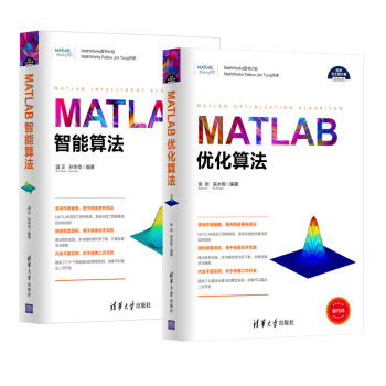 包郵 MATLAB優化算法+智能算法 2本 matlab程序設計教材書 pdf epub mobi 電子書 下載